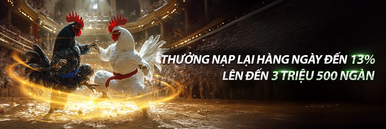 Ưu đãi độc quyền i9bet41 nhà cái